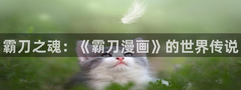 漫画 猫：霸刀之魂：《霸刀漫画》的世界传说
